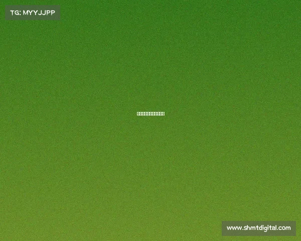 女排世联赛赛事安排最新